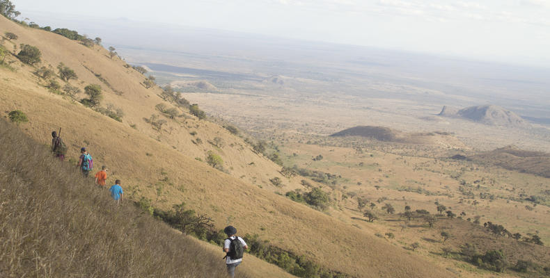 Guided bush walks.