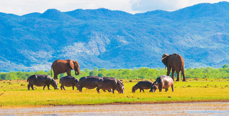 Matusadona National Park