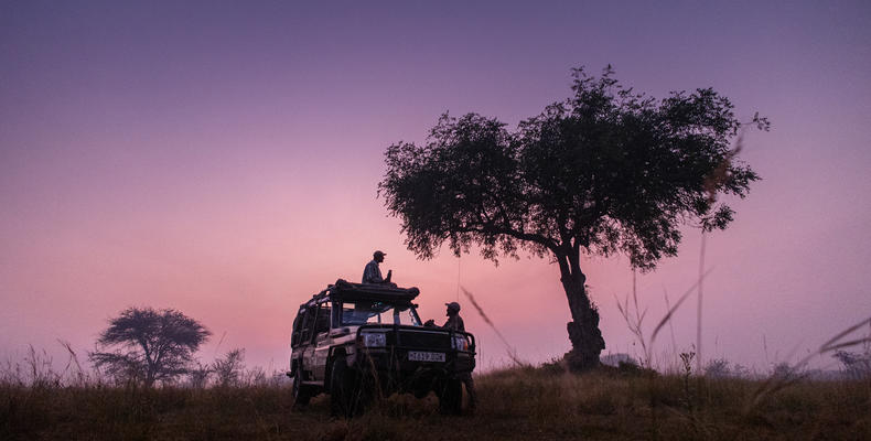 Lamai Wedge Game drives