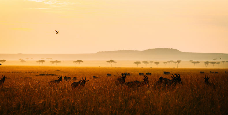 The Lamai Wedge Sunrise