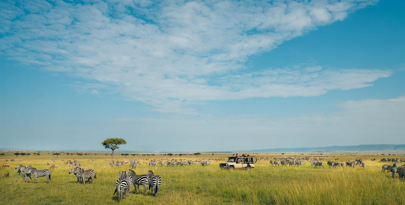 The Lamai Wedge Gamedrive