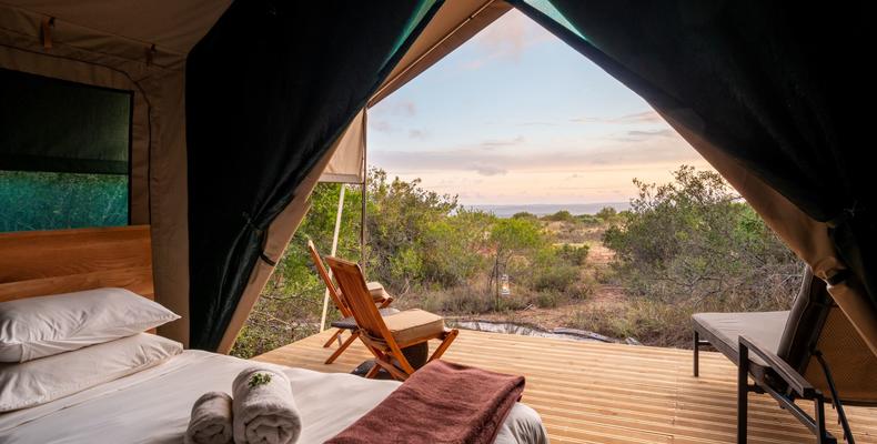 Explorer Camp on Shamwari Private Game Reserve