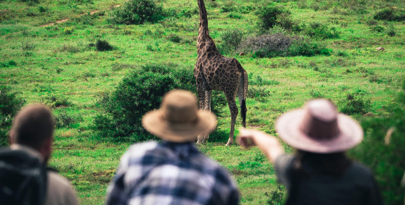 Explorer Camp on Shamwari Private Game Reserve