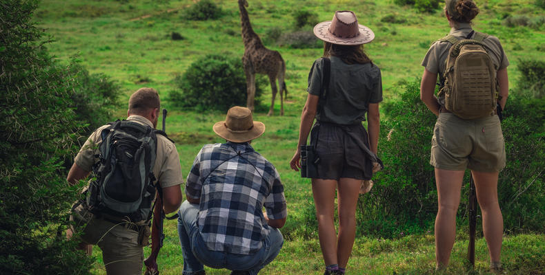 Explorer Camp on Shamwari Private Game Reserve