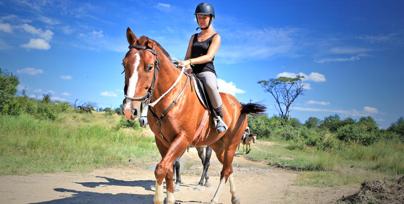 Horse Ride