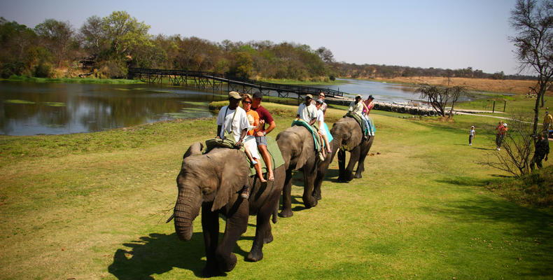 Elephant Rides