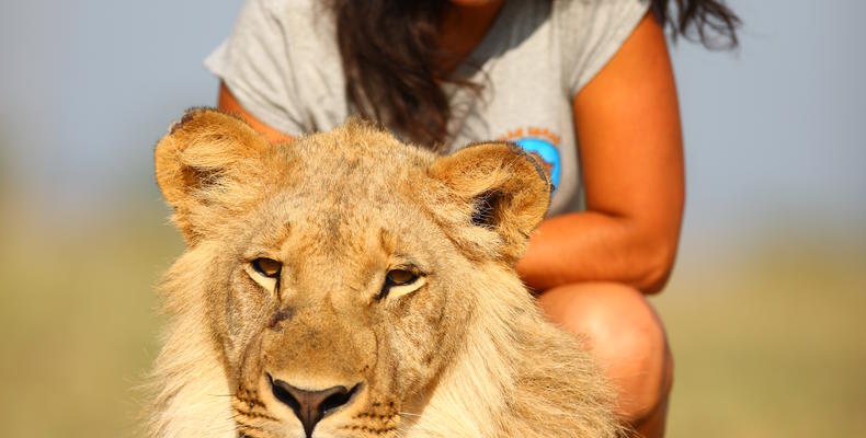 Volunteer with lion