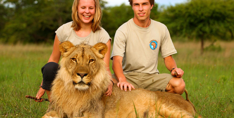 Volunteers with lion