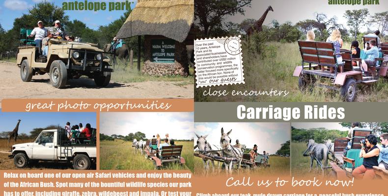 Game Drive - Carriage Rides