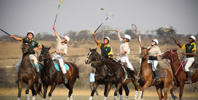 Polocrosse Game