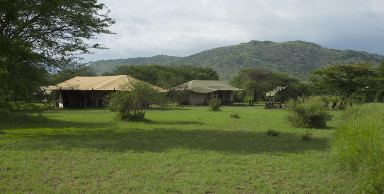 Tents