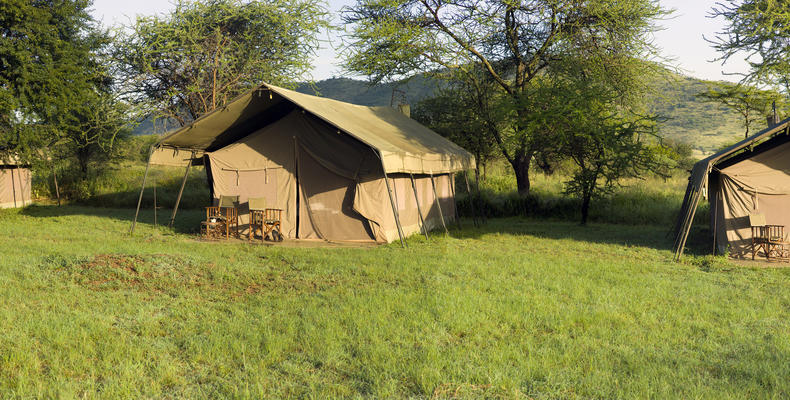 Tents