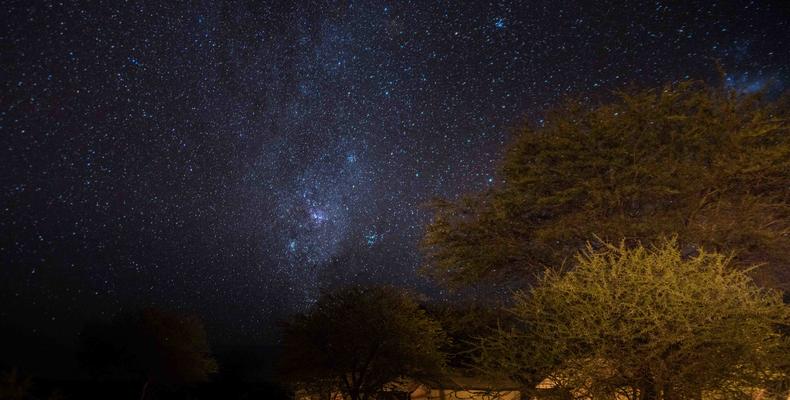 Stars