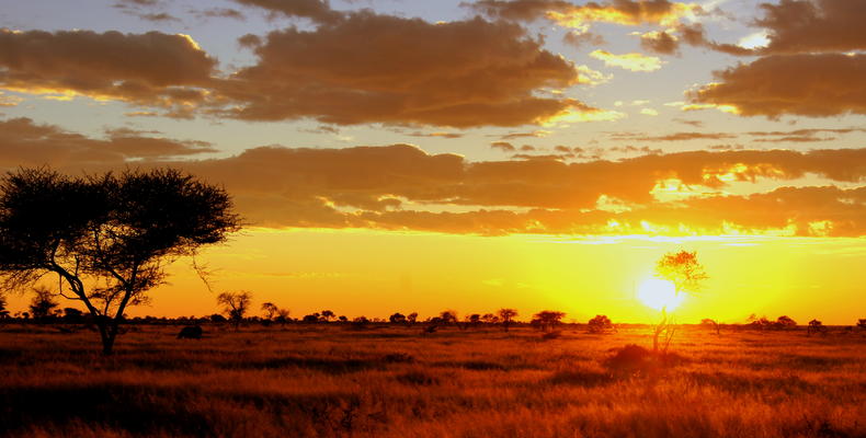 Sunset view 