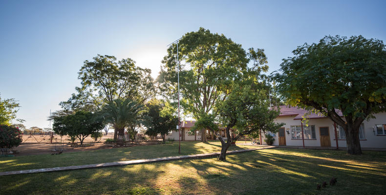 View of the garden  
