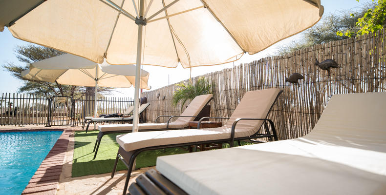 Pool umbrellas & loungers 