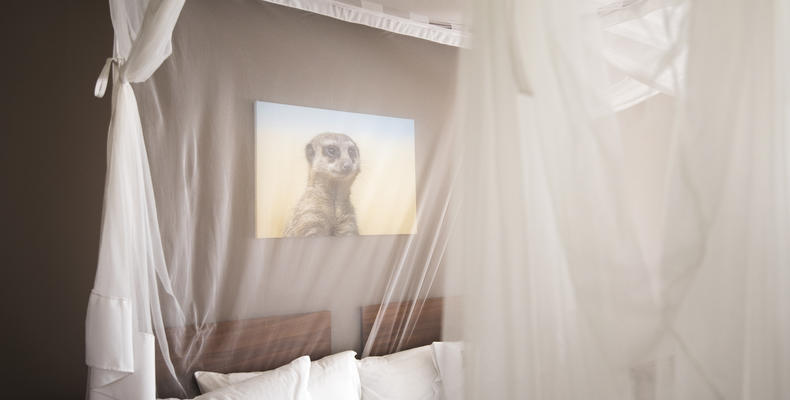 Décor