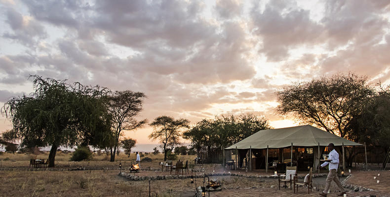 The Main Camp