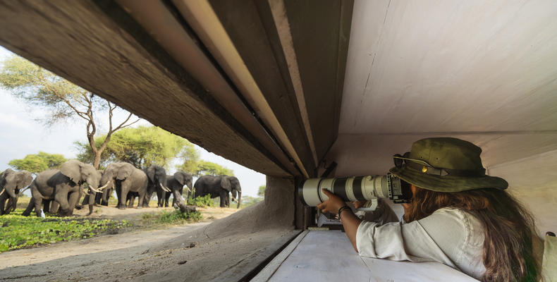 Photography hide