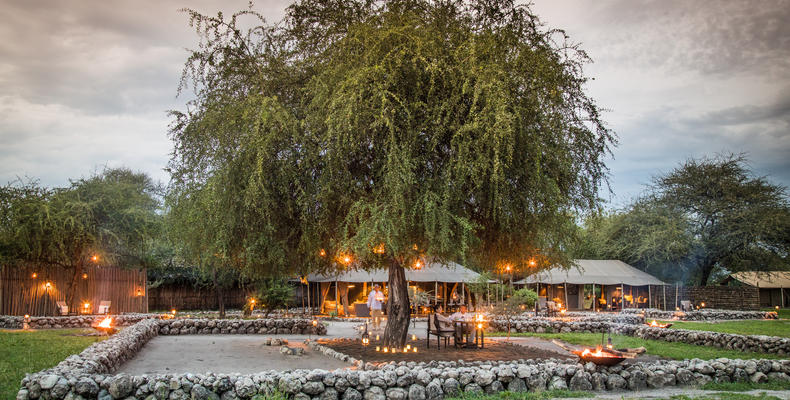 Dine beneath the stars