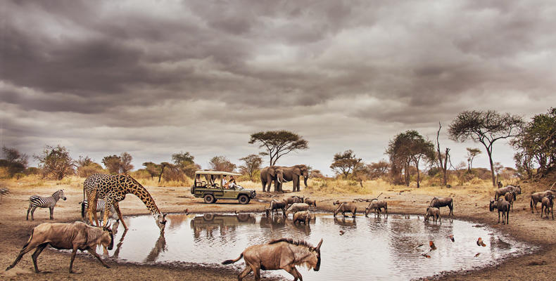 Safari like nowhere else in Africa