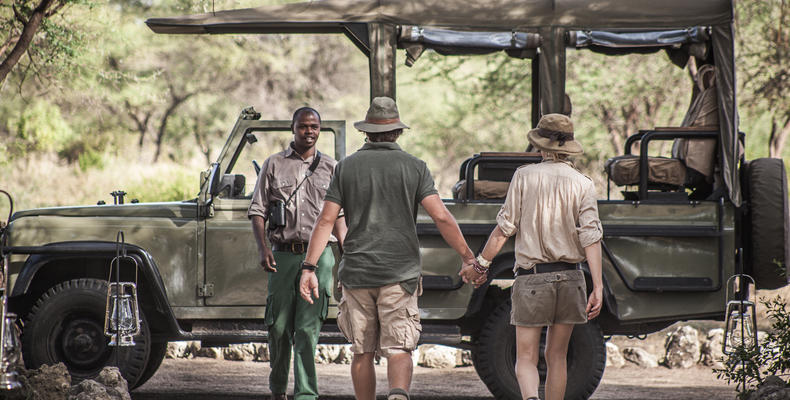 Morning and Night Game Drives 