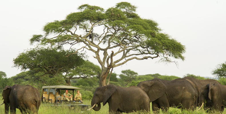 Game Drives