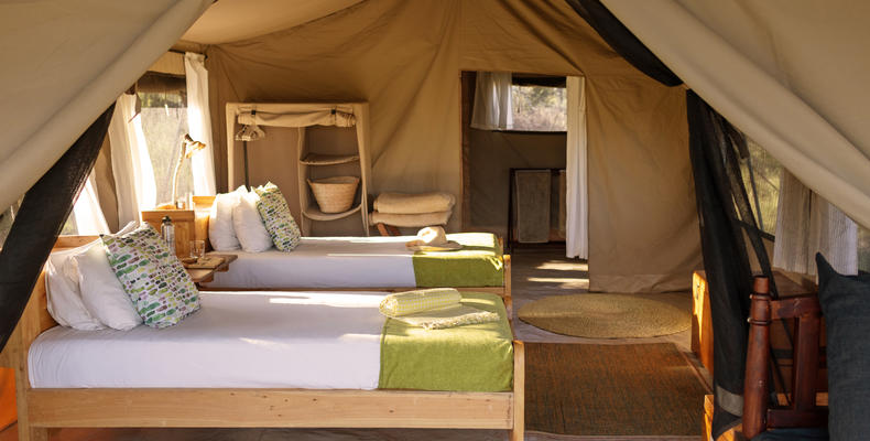 Serengeti North Wilderness Camp -  twin tent