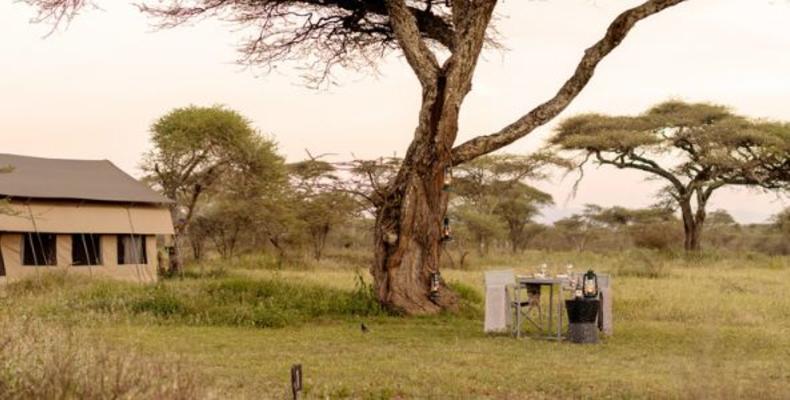Ndutu Wilderness Camp 
