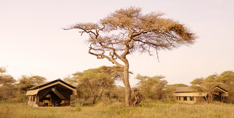 Ndutu Wilderness Camp Guest tents