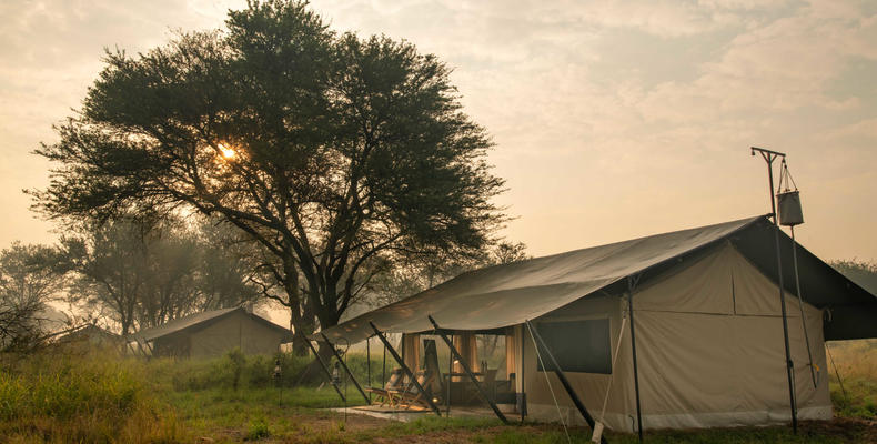 Ubuntu Camp - Tent exteriors