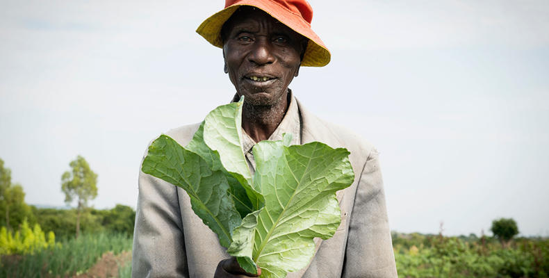Ubuntu Camp - Fresh produce from Asilia vegetable garden