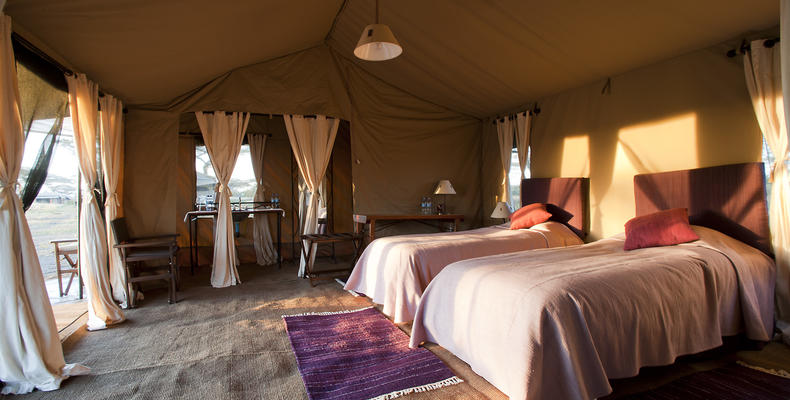 Masek Under Canvas -South Serengeti