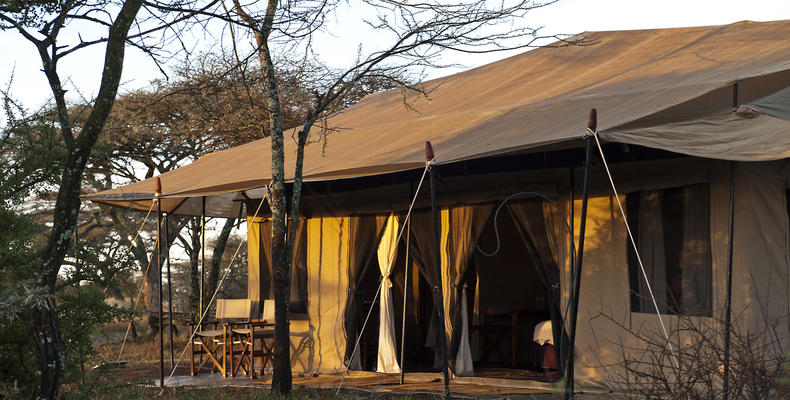 Masek Under Canvas - South Serengeti