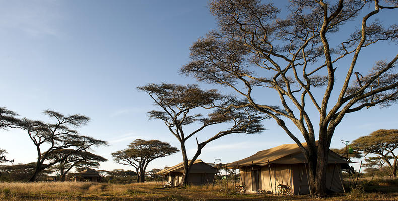 Masek Under Canvas - South Serengeti