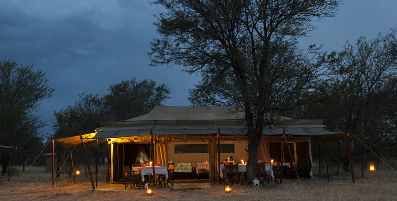 Bologonya Under Canvas -Serengeti North