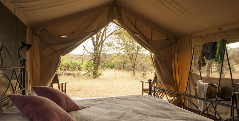 Bologonya Under Canvas - Serengeti North