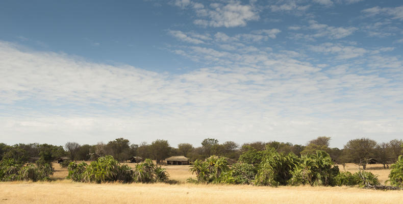 Bologonya Under Canvas - Serengeti North