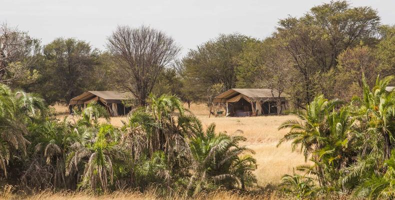 Bologonya Under Canvas - Serengeti North