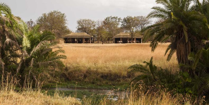 Bologonya Under Canvas - Serengeti North