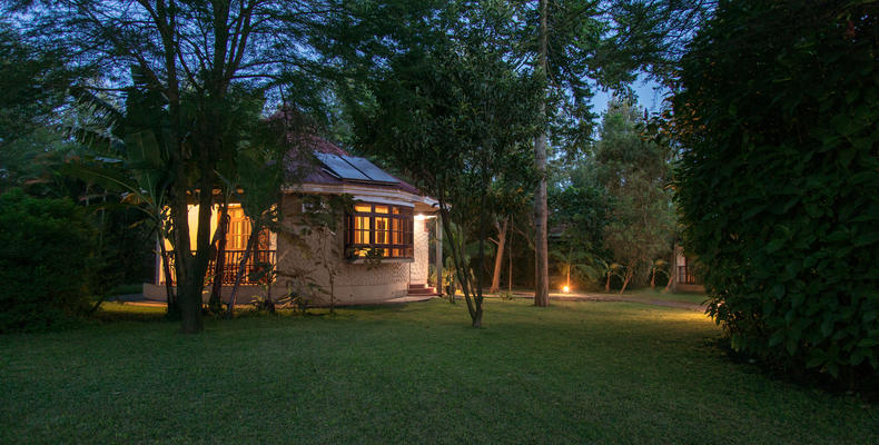 Gardens at night