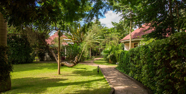 garden pathways