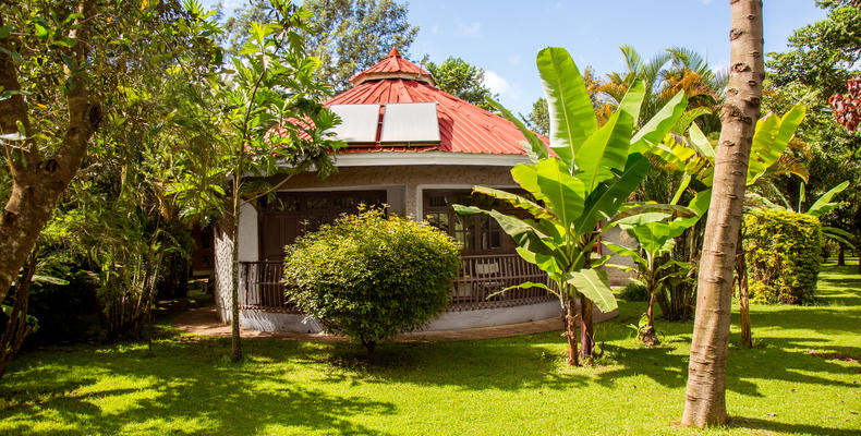 Lush gardens