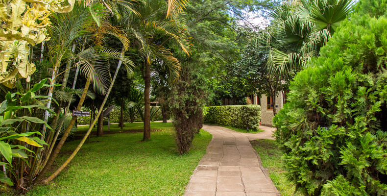 Pathway to guest rooms