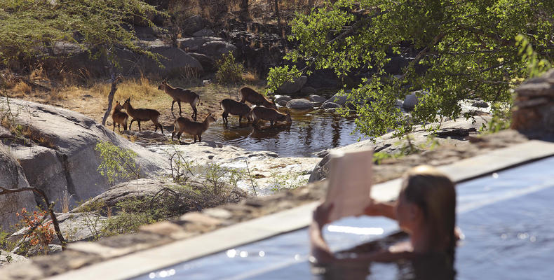 Mwiba Lodge