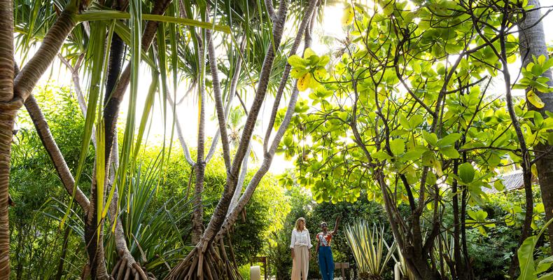 Garden Tour