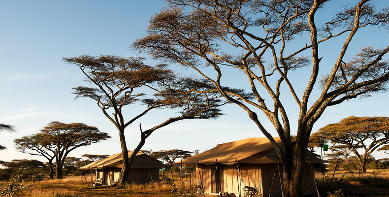 Mara Under Canvas - North Serengeti