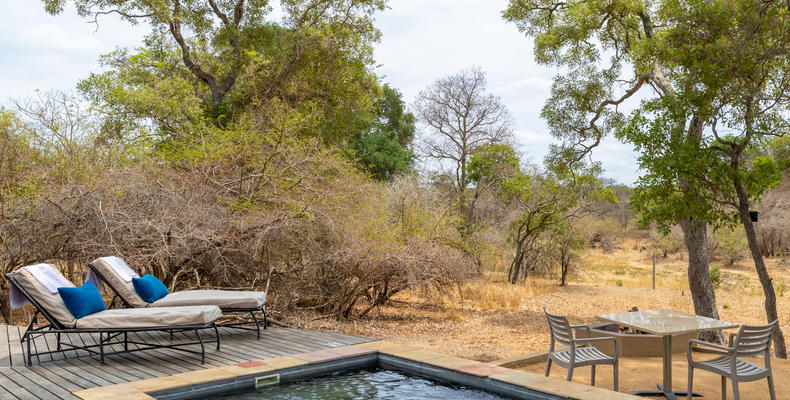 Luxury Timbavati Suite 