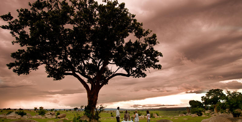 Legendary Serengeti Camp