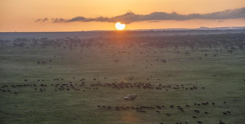 Nyasi Tented Camp